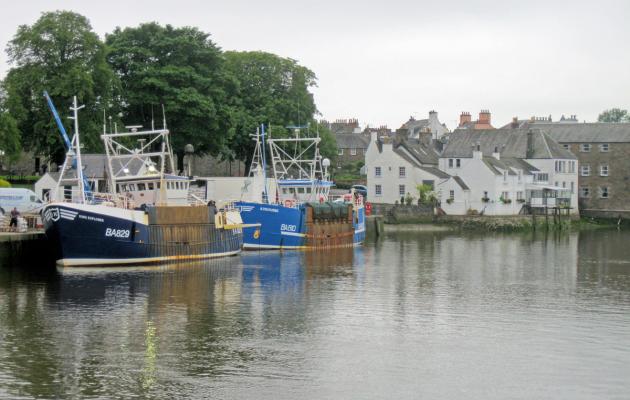 Solway View Holidays/Balmangan Farm — photo 8